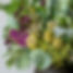 Parker Road Artificial Flowers and Greenery Corporate Hire Gallery-17.JPG