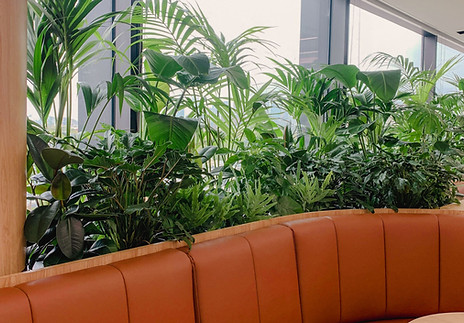 Parker Road Commercial Greenery Specialists-29.JPG