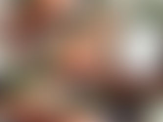 Artificial and Living Greenery for Office Spaces