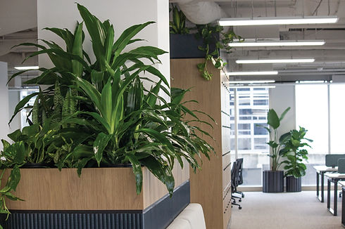 Parker Road Greenery Designs For You.jpg