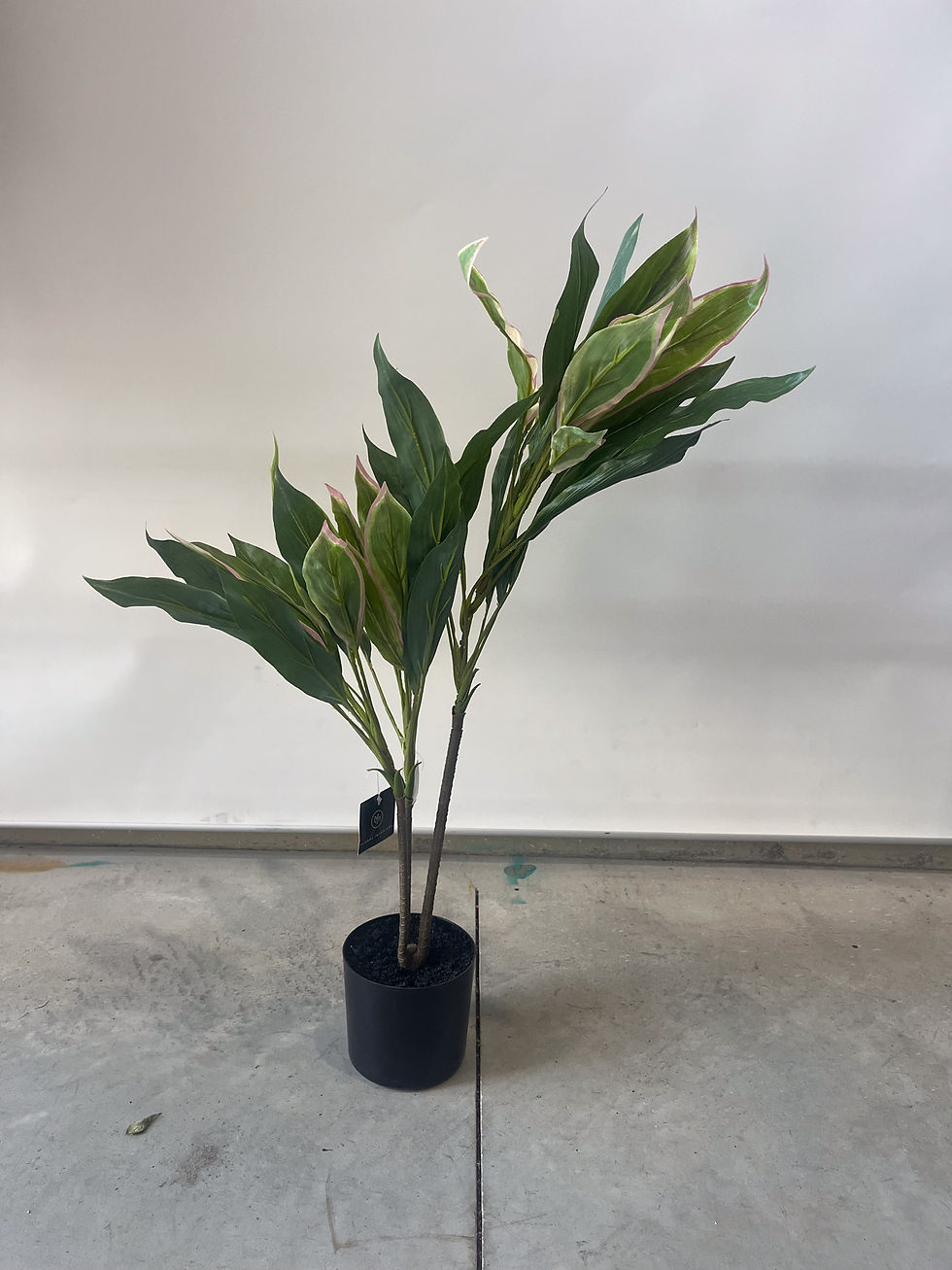 Parker Road Commercial Indoor Plants - Artificial Cordyline