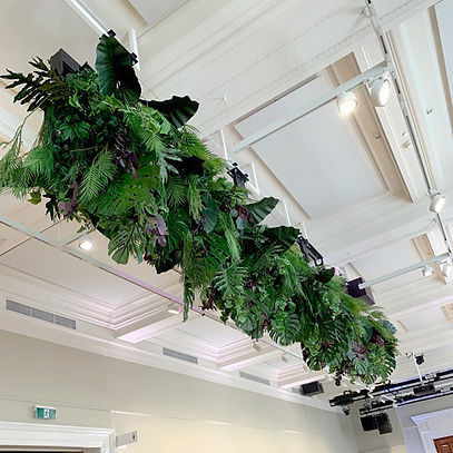Parker Road artifical plants installed within the State Library for Ultimate Chippy.