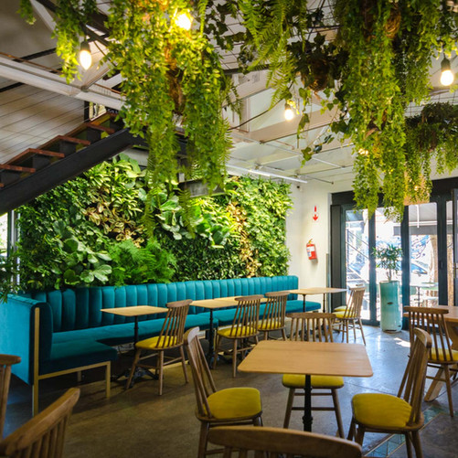 With Parker Road's full-service plant hire and maintenance plans, your green wall will always look its best.