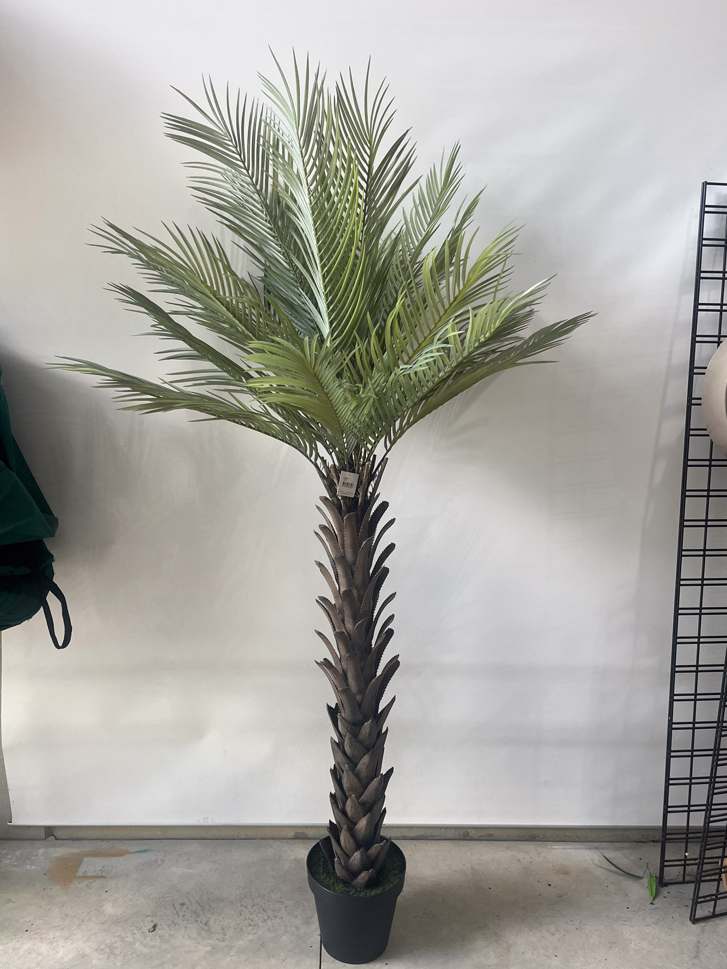 Parker Road - Artificial Phoenix Palm