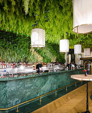 Parker Road Living Green Walls-2.JPG