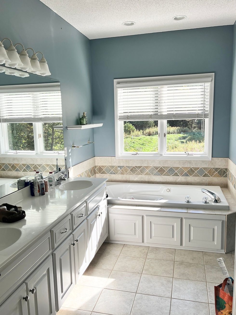 Client who wanted a bathroom refresh without remodeling.