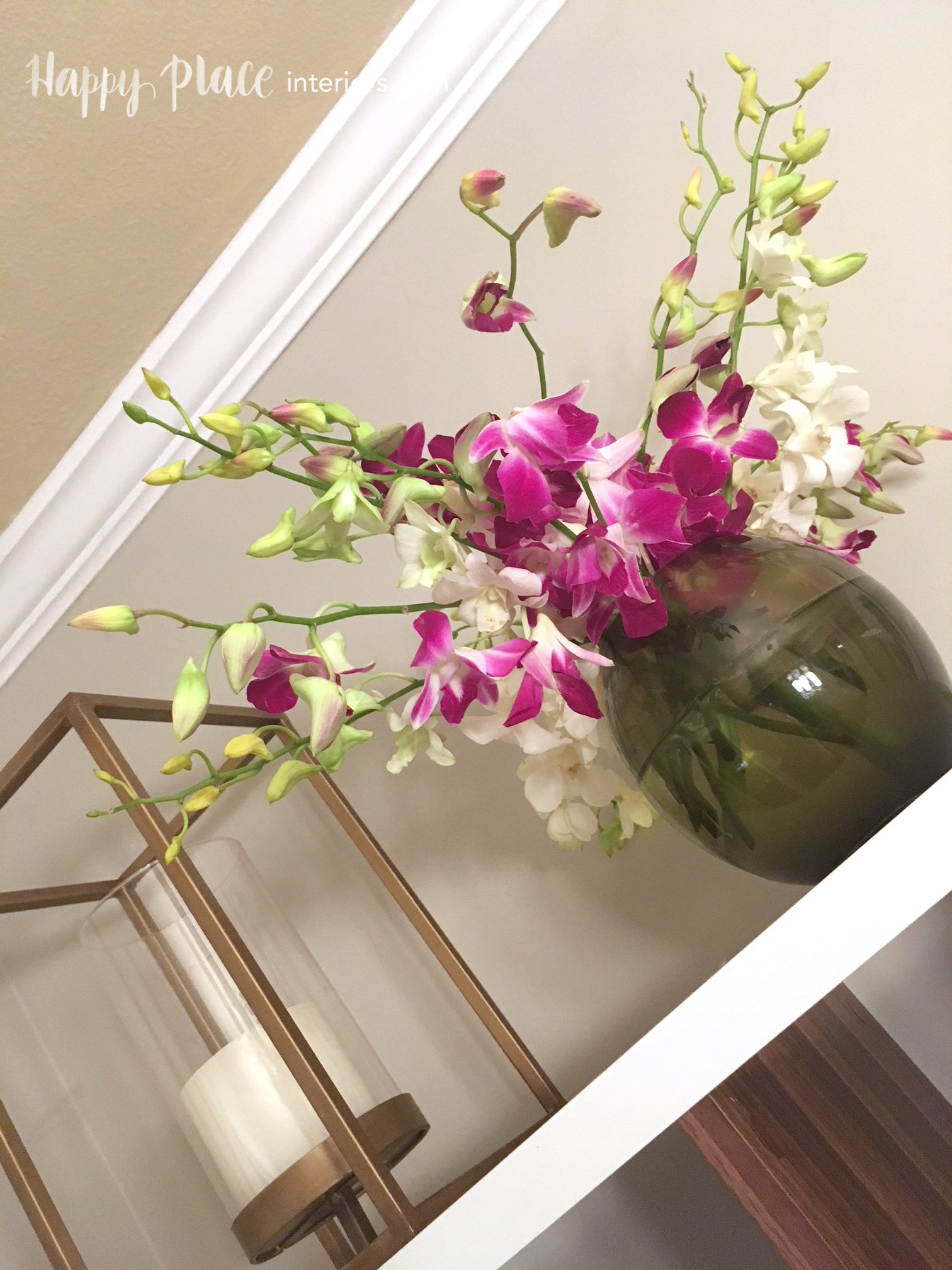 orchids_7764