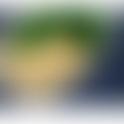 Alimenter la paternité : Le guide d’une diététiste pour une vie longue et en santé