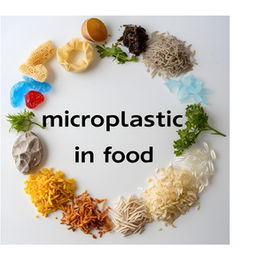Are Microplastics a Health Concern? What You Can Do to Reduce Exposure