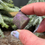 Thumbnail: Purpurite Unpolished Tumble Stone Spiritual Awareness 