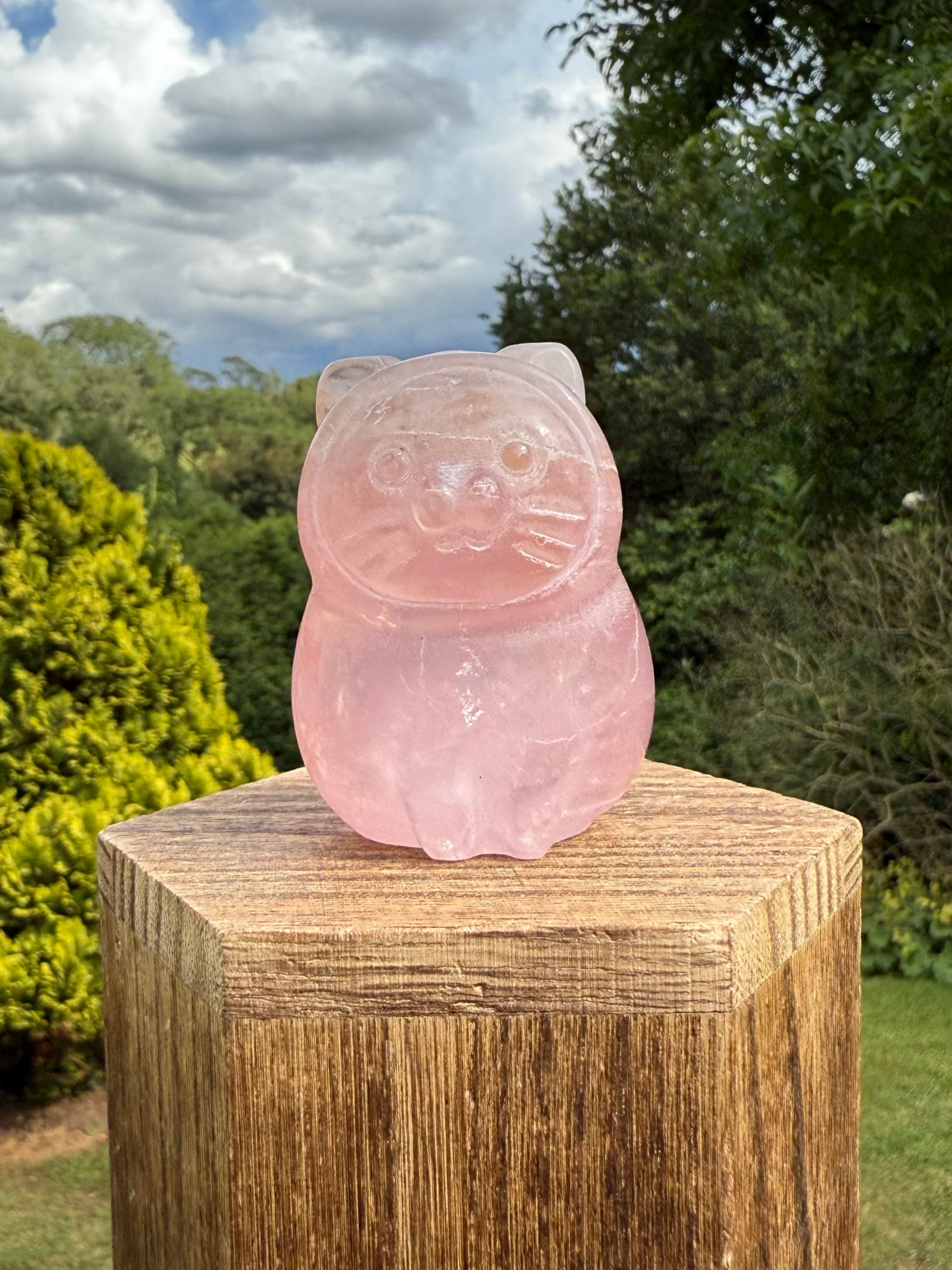 Rose Quartz Cute Chubby Cat Carving