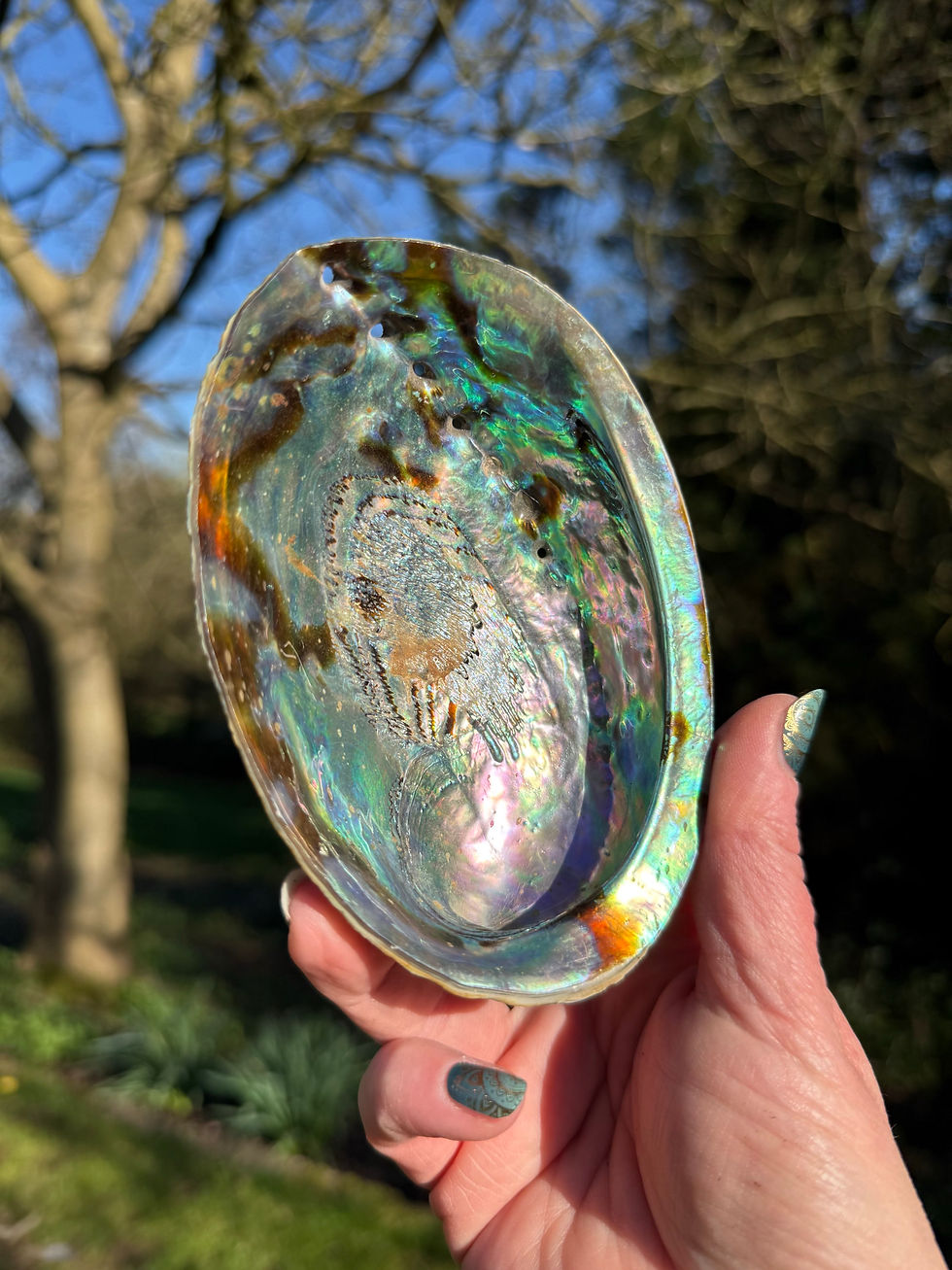 Thumbnail: Abalone Shell Bowl Harmony and Protection 