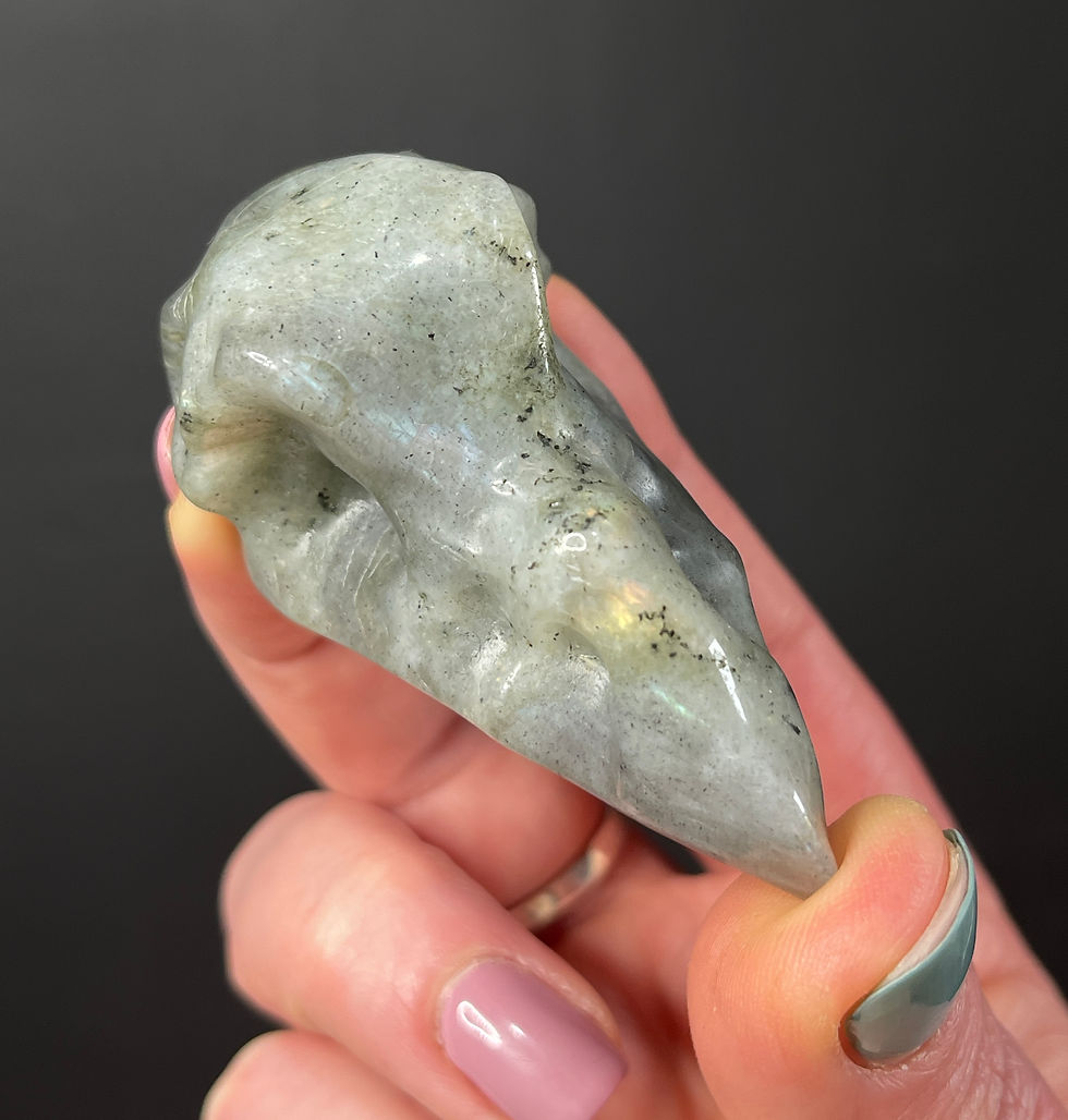 Thumbnail: Grey Labradorite Crow Raven Rook Skull