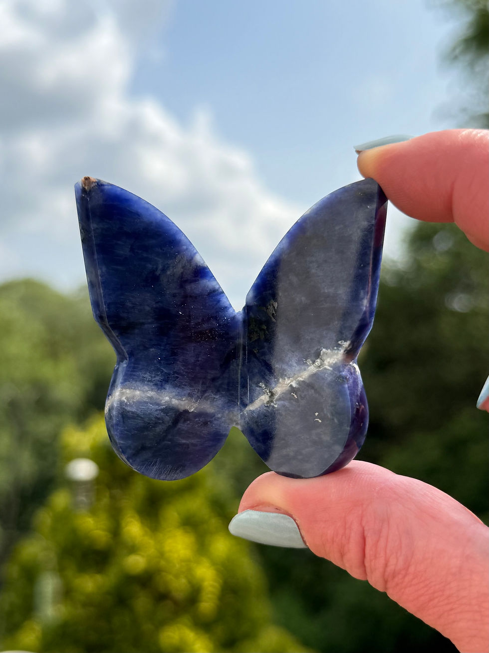 Thumbnail: Sodalite Free Standing Butterfly Carving 