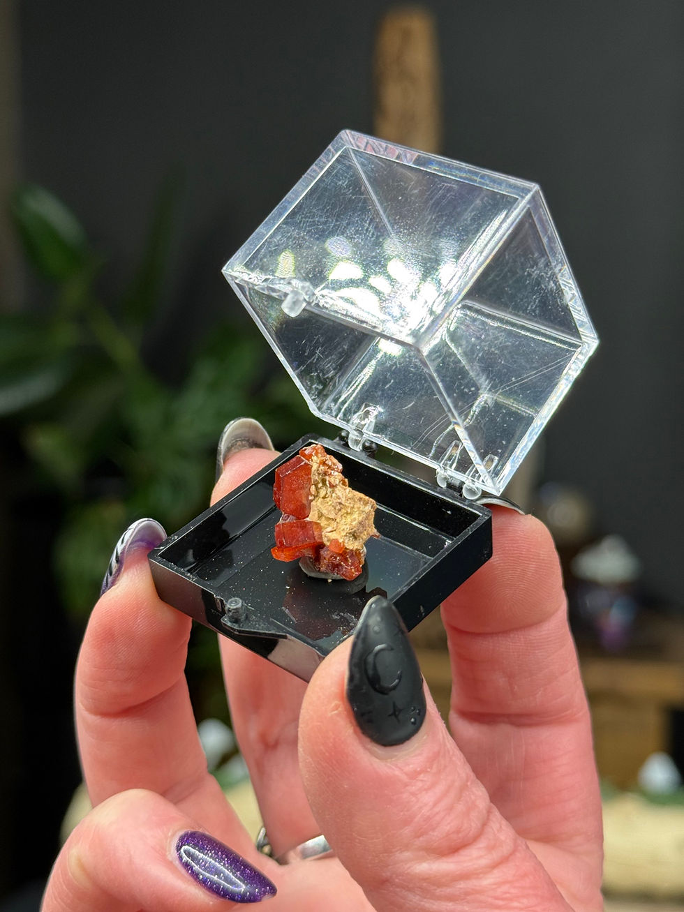 Thumbnail: Vanadinite Sparkly Specimen in Perky Box from Morocco