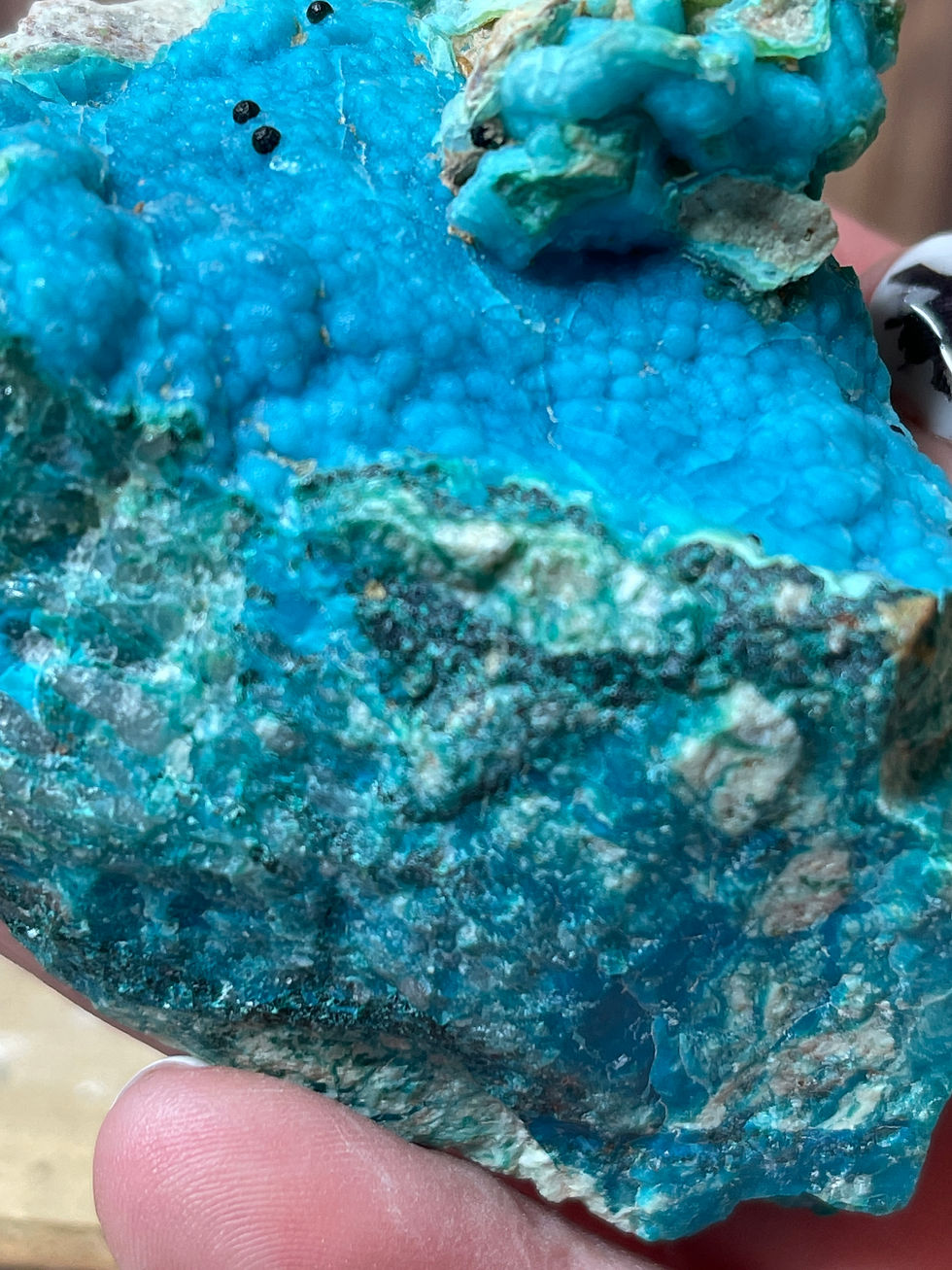 Thumbnail: New Find Gem Silica Botryoidal Chrysocolla