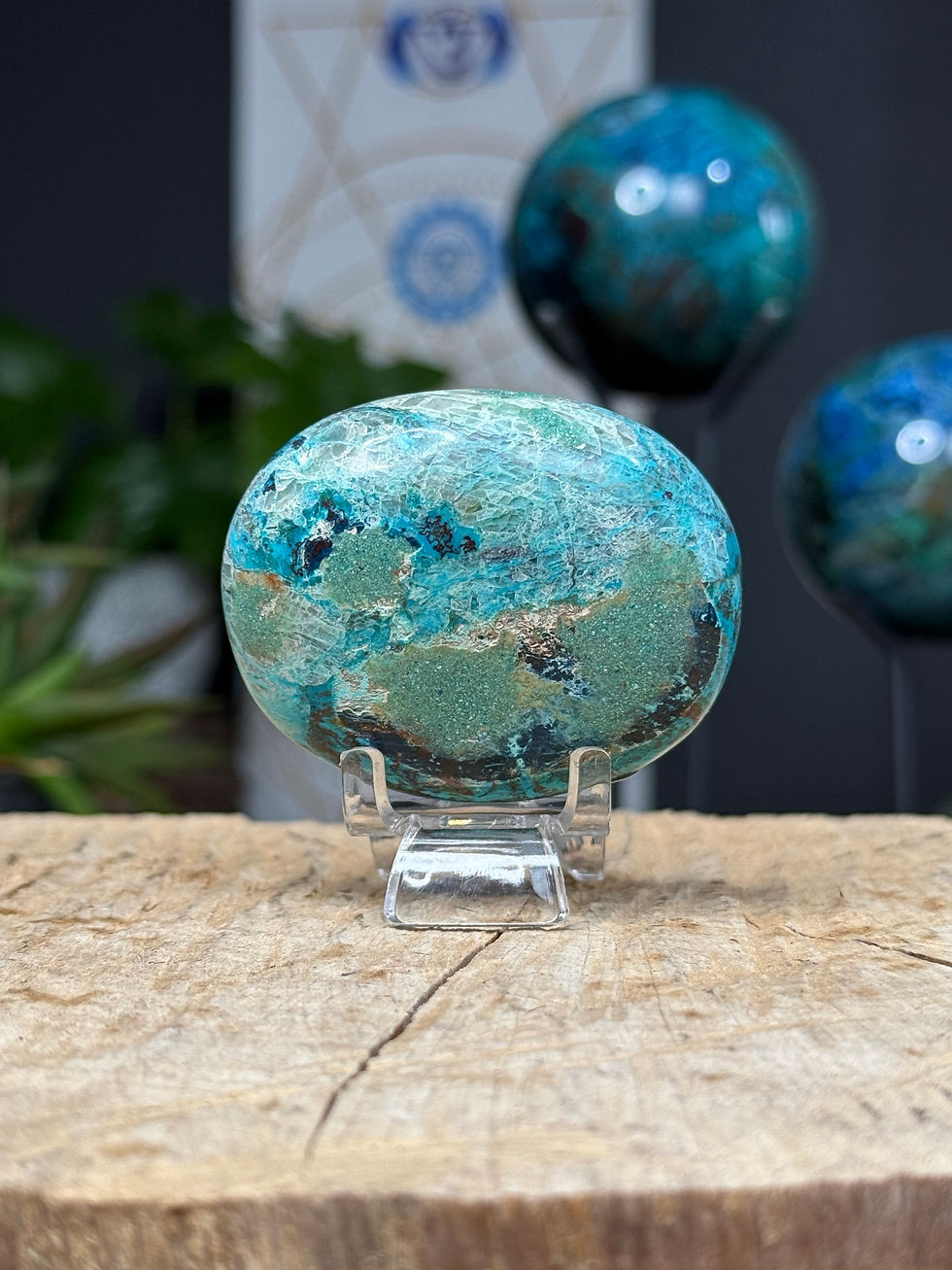 Thumbnail: Chrysocolla Turquoise Chunky Palm Stone 