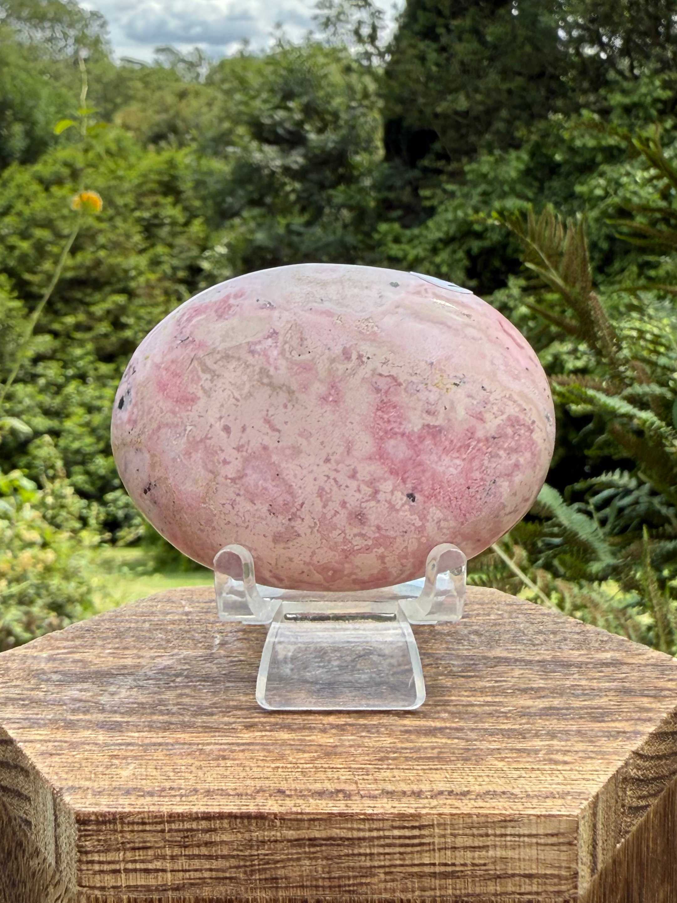 Peruvian Rhodonite Palm Stone Calm in the Storm