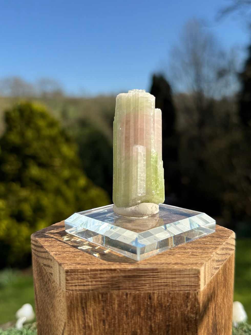Thumbnail: Watermelon Tourmaline Specimen on Glass Stand ~ Afghanistan  
