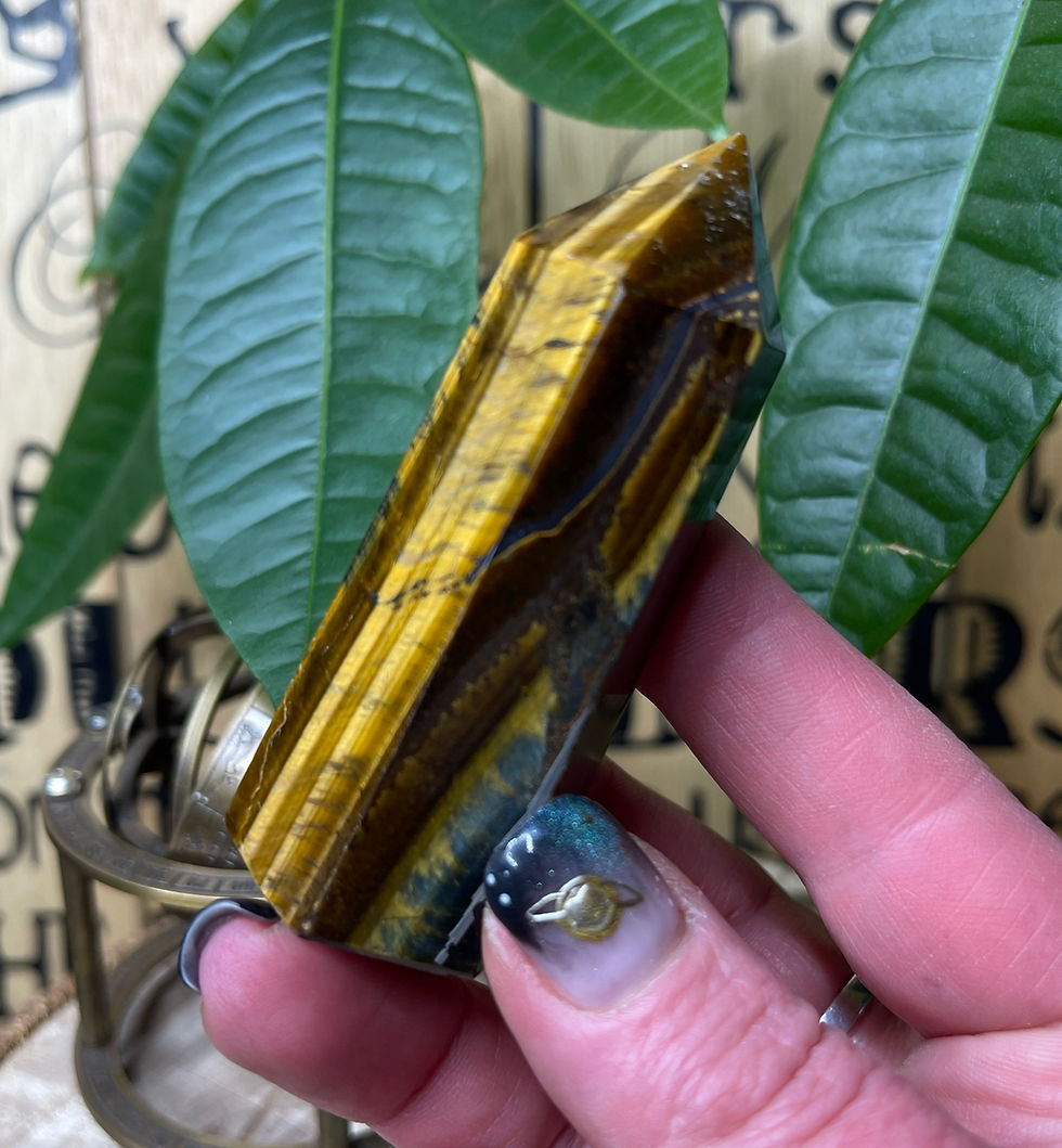 Thumbnail: Tigers Eye Point