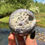 Thumbnail: Grape Agate Purple and Green Botryoidal Sphere 