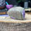 Thumbnail: Stichtite and Serpentine Atlantisite Polished Free Form 