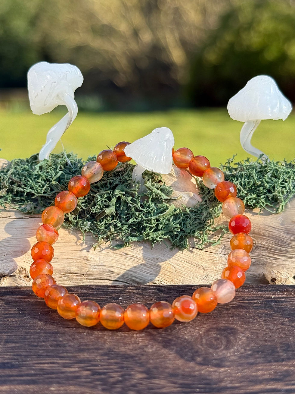 Thumbnail: Carnelian Agate High Grade Faceted Bracelet 