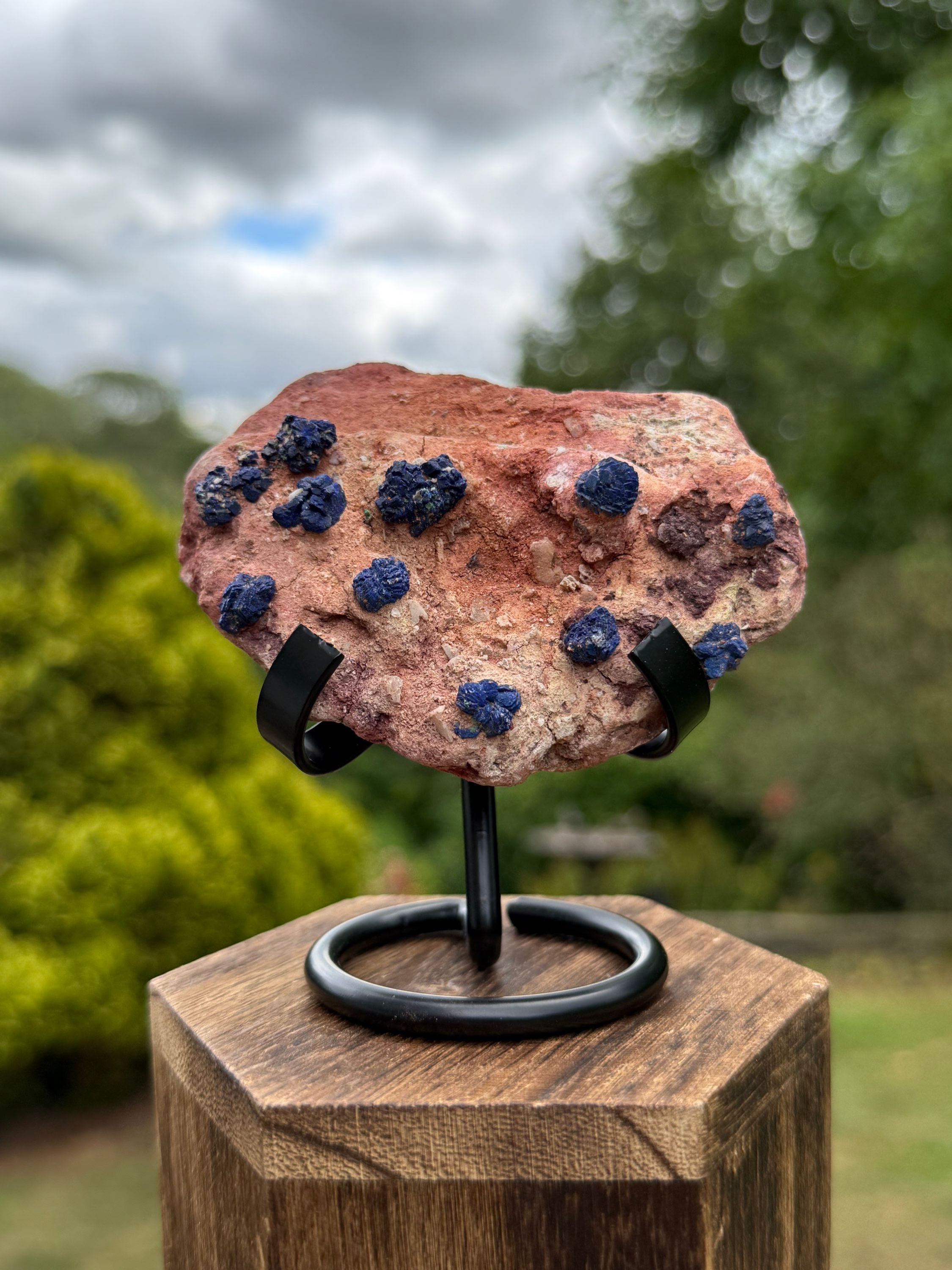 Azurite Rosettes in Matrix Specimen