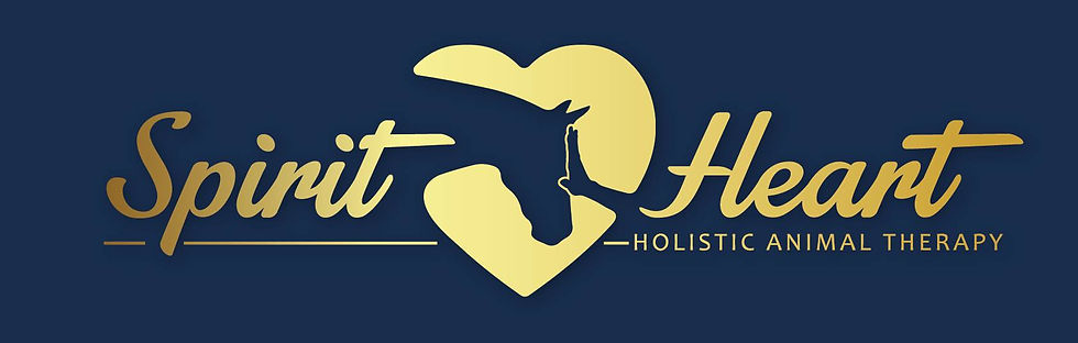 Spirit Heart Logo.jpeg