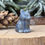 Thumbnail: Blue Aventurine Cat Carving Self Expression