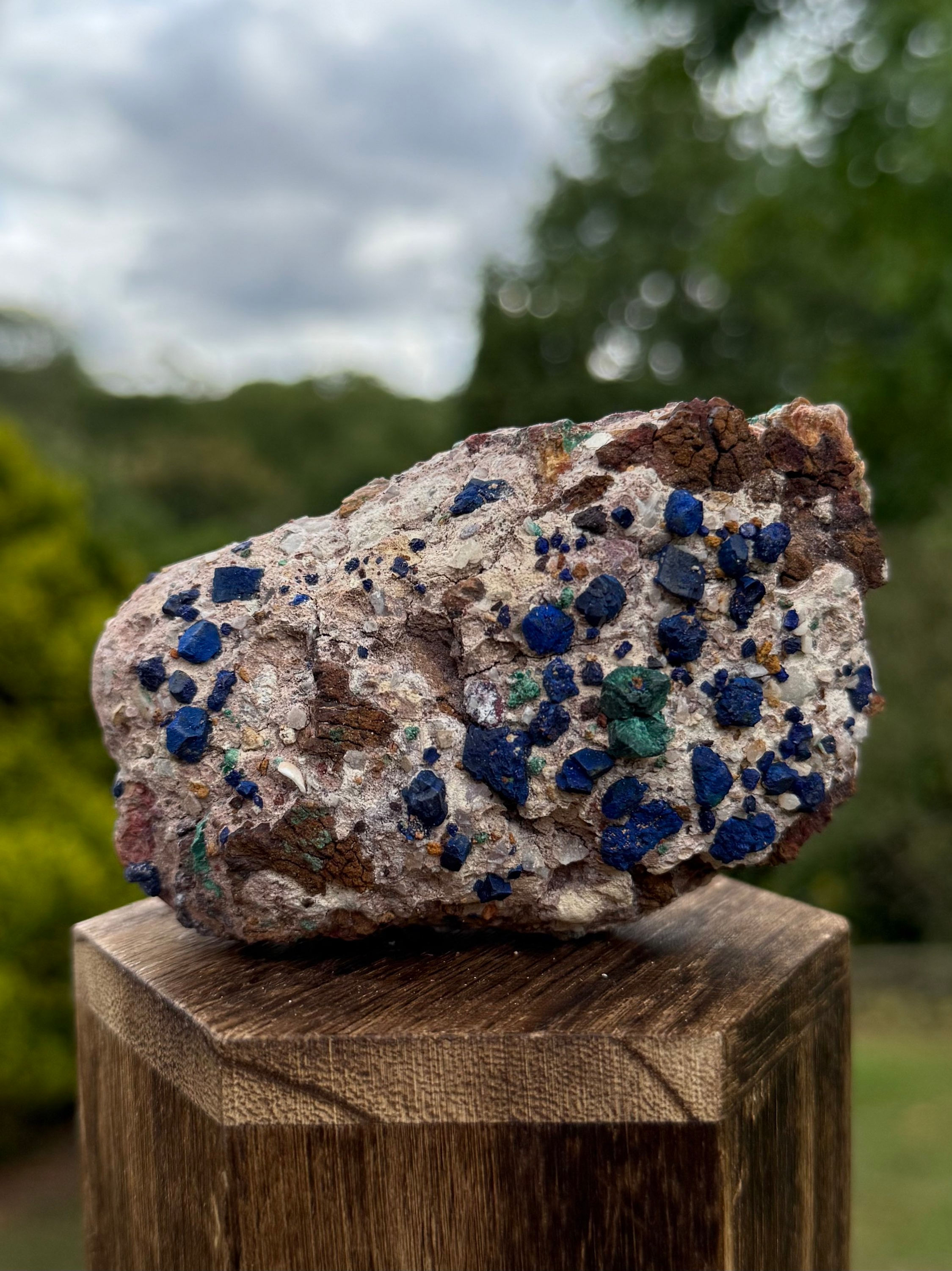 Azurite Rosettes in Matrix Specimen with Malachite Inclusions 