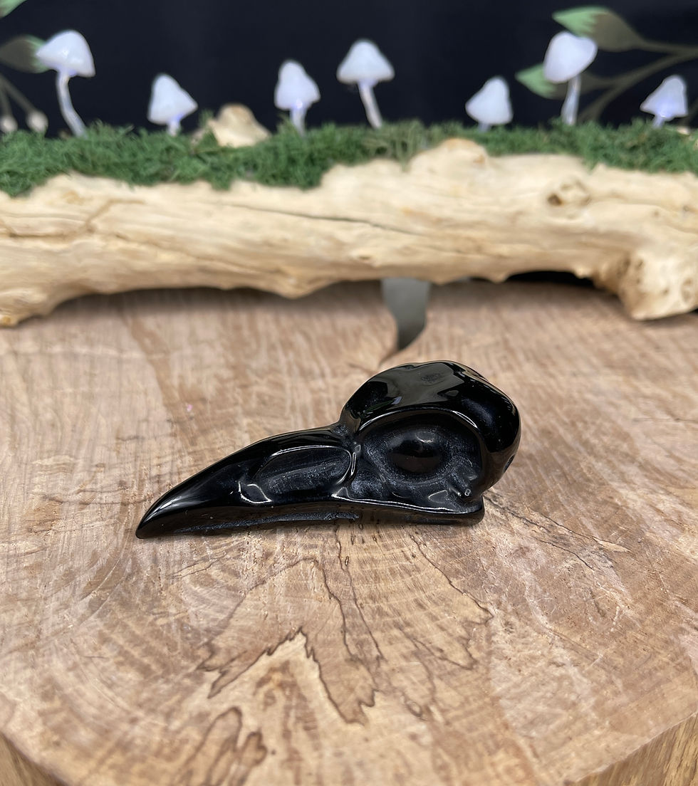 Thumbnail: Obsidian Bird Skull Carving  