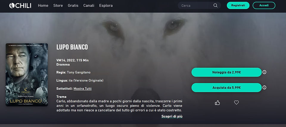 lupo bianco su chili TV .jpg