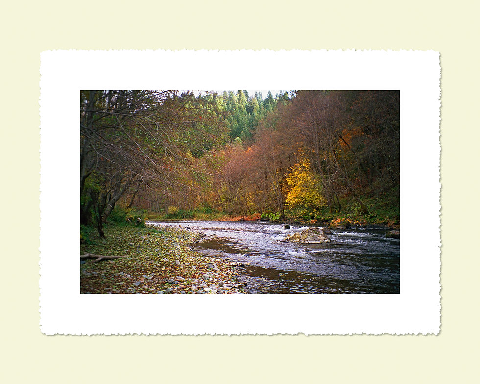 At Steiner Flat 16 x 12