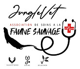 7Junglevetlogoplaque1.jpg