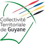 12Logo_CTG plaque2.jpg