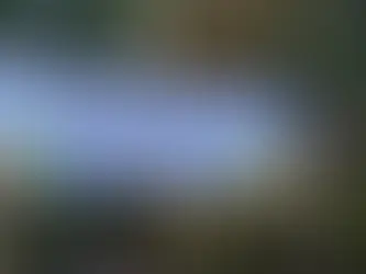 Students Plant Vegetables and Flowers in Garden Thanks to Mr Goka and Volunteer Support