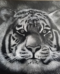 20190426_104629_edited.jpg