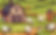 farm_edited.jpg