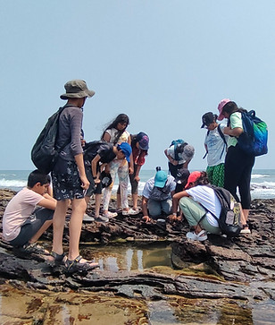 Intertidal Exploration - WildEd.jpg