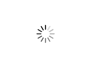 chargement.gif