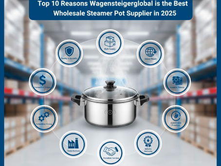 Top 10 Reasons Wagensteigerglobal is the Best Wholesale Steamer Pot Supplier in 2025