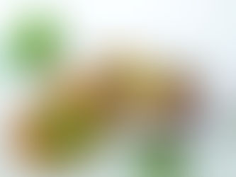 Bundt Cake allo Yogurt e Tea Matcha