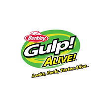 Gulp logo.jpeg