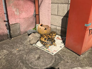 3月25日