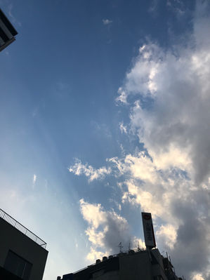 2月11日