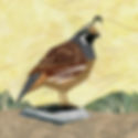 MB#84 California Quail