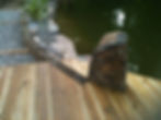 Decking and pond