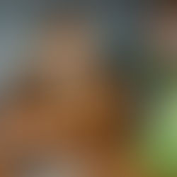 Podcast: o que é e como fazer para gravar um