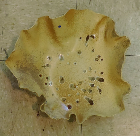 Winner - President's Award